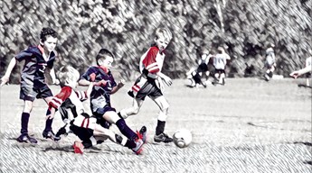Skill Acquisition